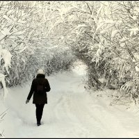 Ностальгия :: Aleksandr Gal