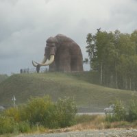 Салехард :: Tata Wolf