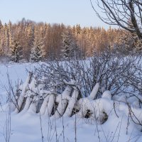 Зимний день :: Сергей Ц