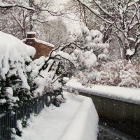 А снег идёт,а снег идёт.. :: Aida10 