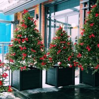 С наступающим... :: Радмир Арсеньев