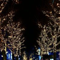 Рождество в Штутгарте - 5 :: Алексей Кузнецов