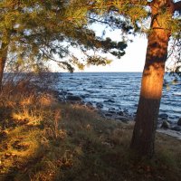 *** :: Геннадий Порохов