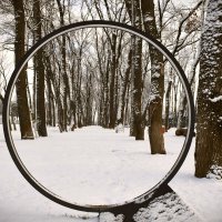 Лупа. :: Юрий Полторыхин.