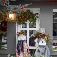 Папарацци :: Сергей Карачин