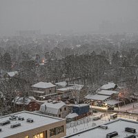 Снегопад :: Юрий Яньков Снегопад :: Юрий Яньков