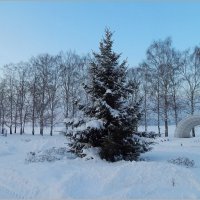 Ёлочка . :: Валентина Надсон