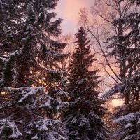 Закат :: Сапсан 