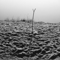 Фотография :: Денис Безногов