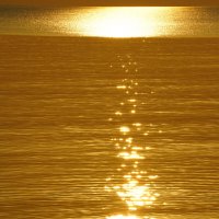 *** :: Иван Литвинов