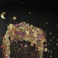 Новогодняя фотозона :: Любовь Сахарова