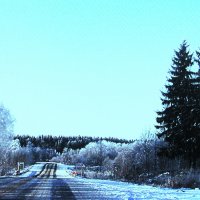 Зимняя дорога :: Людмила Смородинская Зимняя дорога :: Людмила Смородинская