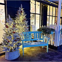 Новогодняя фотозона. :: Валерия Комова