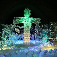 Ледяная пальма :: Ольга Ледяная пальма :: Ольга