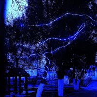 С наступающим! :: Юрий Гайворонскiий