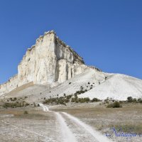 Природа Крыма :: Amazing Cosmea