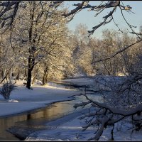 Зимняя сказка :: Aleksandr Gal Зимняя сказка :: Aleksandr Gal