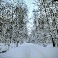 В декабре пред Новогодняя фото сессия на природе. :: Михаил Столяров