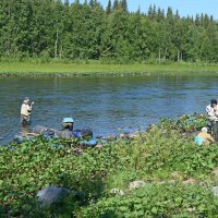 Краткий отдых. :: ВикТор Быстров