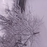 Зимняя сказка :: Алексей Т