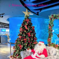 С Наступающим! :: Валерий Готлиб