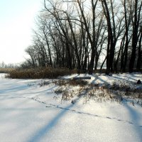 Всех с наступающим Новым Годом, Друзья!!!! :: Владимир 