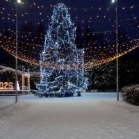 С наступающим 2026 ! :: Сергей Ц