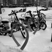 ... :: Лютый Дровосек