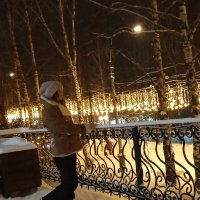 С наступающим Новым годом и Рождеством, друзья! :: Светлана Лапка