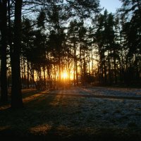 Зима 2025. Декабрь :: Наталья Герасимова