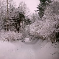 снежная дорога к храму :: Сергей Кочнев