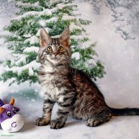 ... :: Светлана Ищенко