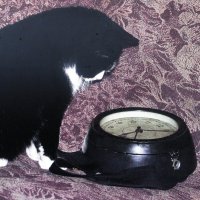 И когда же Новый год наступит? :: Людмила Смородинская