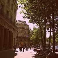 Париж с автобуса. :: Владимир Драгунский