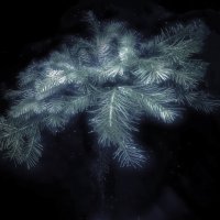 С наступающим! :: Владимир Владимир