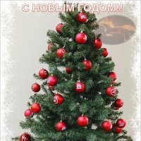 С НОВЫМ ГОДОМ!! :: Наталья Куликова