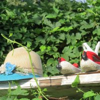 июльская дачная зарисовка :: Елена Шаламова