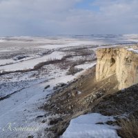 Природа Крыма :: Amazing Cosmea