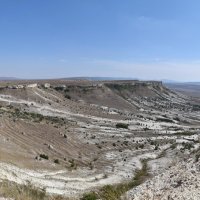 Природа Крыма :: Amazing Cosmea