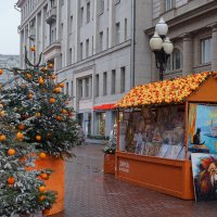 Мандариновое настроение :: Ольга 