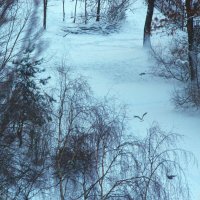 Внизу.... :: Юрий Куликов