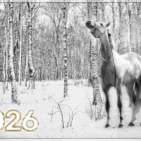 Всех с Наступающим Новым Годом! :: Юрий Яньков