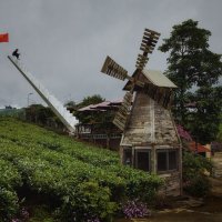 В шаге от светлого будущего :: Дмитрий Шишкин