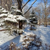 Зимний парк :: Нина Бутко