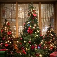 С наступающим Новым Годом! :: Галина С наступающим Новым Годом! :: Галина