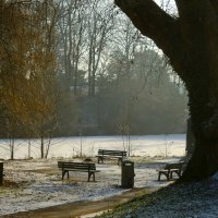 Зимнее утро :: Юрий. Шмаков