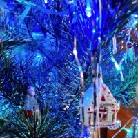 Голубые огоньки :: Наталья 