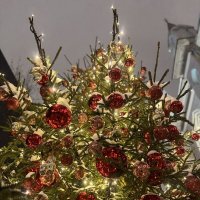 23:45 центр! :: Анна Камс