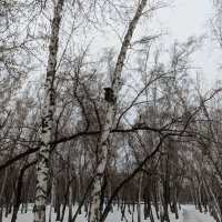 31 декабря 2025 года :: Андрей Хлопонин 31 декабря 2025 года :: Андрей Хлопонин