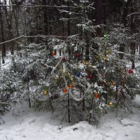 С Новым годом! :: Андрей Лукьянов